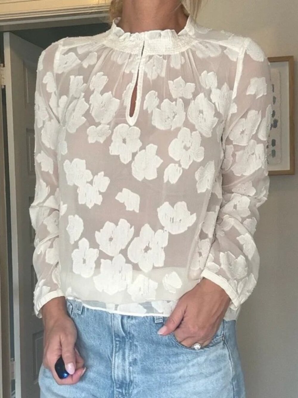 Rebecca Taylor Sheer Floral Burnout Blouse Size 4 Romantic Cottagecore Top Ivory